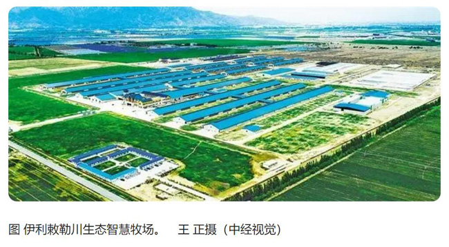 QQ截图20230605190924.jpg