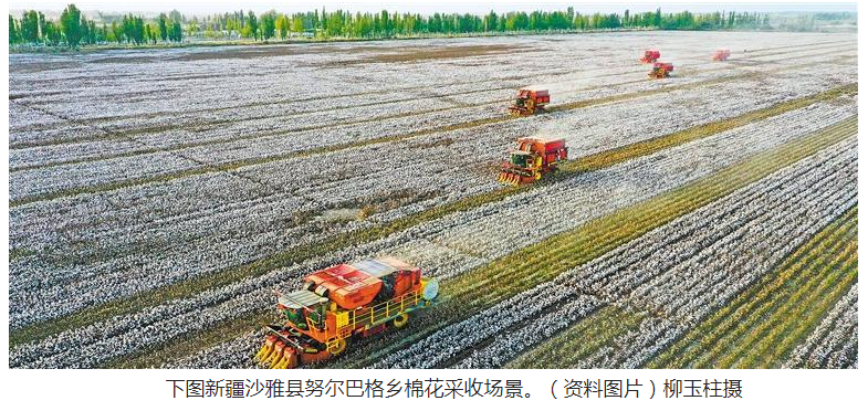 QQ截图20230718094735.png