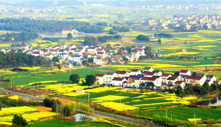 QQ截图20231220105359.png