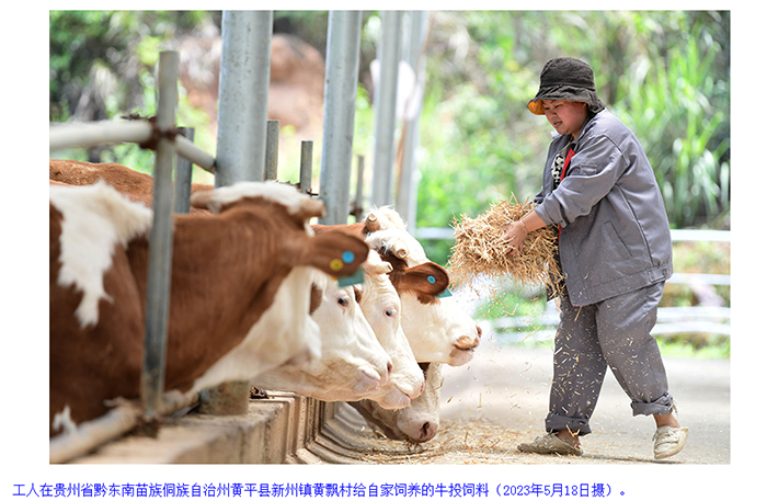 QQ截图20240301101627.png