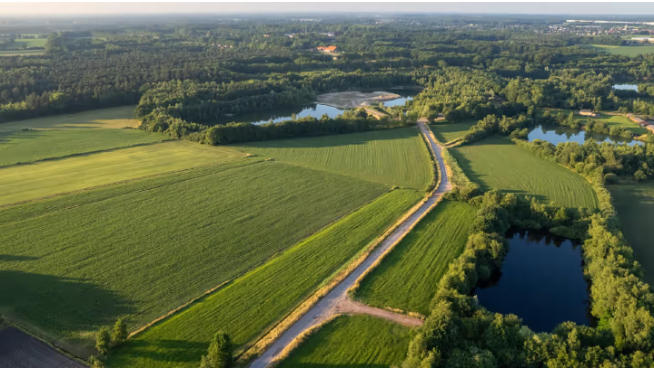 农业大省乡村振兴的组团发展样本：组团发展底层逻辑